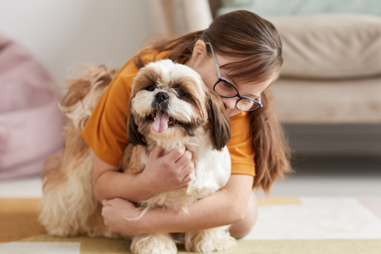 Ska du resa med hund?