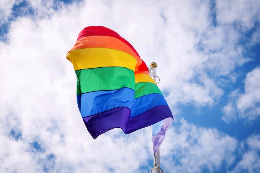 regnbågsflagga för att representera könslagen